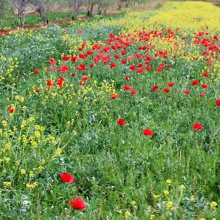 The White House Croatia *